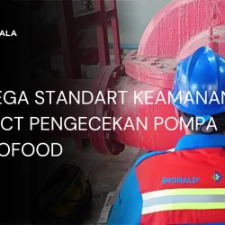 Menjaga Standart Keamanan Project Pengecekan Pompa Di Indofood
